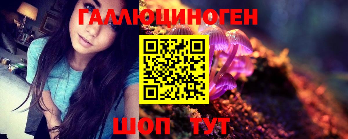 Псилоцибиновые грибы GOLDEN TEACHER  Вход с VPN  Дедовск  Псилоцибиновые грибы GOLDEN TEACHER 